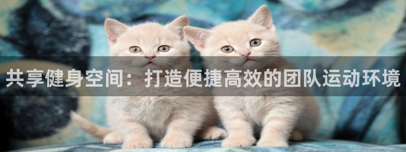 意昂4科技：共享健身空间：打造便捷高效的团队运动环境