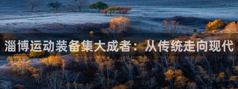 意昂体育4软件：淄博运动装备集大成者：从传统走向现代