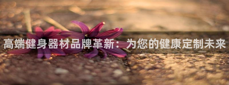 意昂4开户：高端健身器材品牌革新：为您的健康定制未来