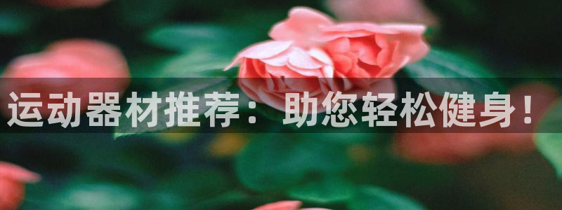 意昂体育4注册：运动器材推荐：助您轻松健身！