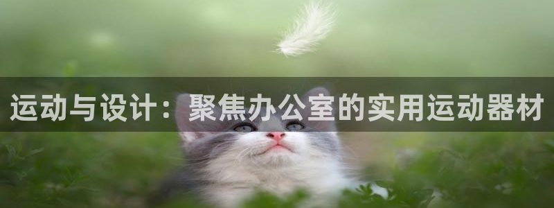 意昂4集团：运动与设计：聚焦办公室的实用运动器材