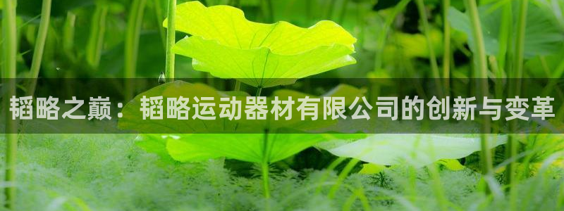 意昂体育4平台注册流程视频：韬略之巅：韬略运动器材有