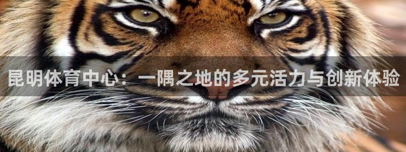 意昂体育4招商电话号码：昆明体育中心：一隅之地的多元