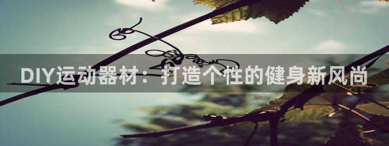 意昂体育4招商电话号码查询：DIY运动器材：打造个性