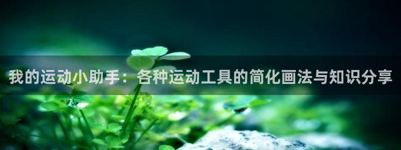 意昂体育4招商电话号码：我的运动小助手：各种运动工具