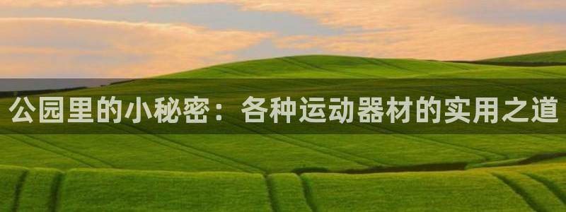 意昂4娱乐：公园里的小秘密：各种运动器材的实用之道