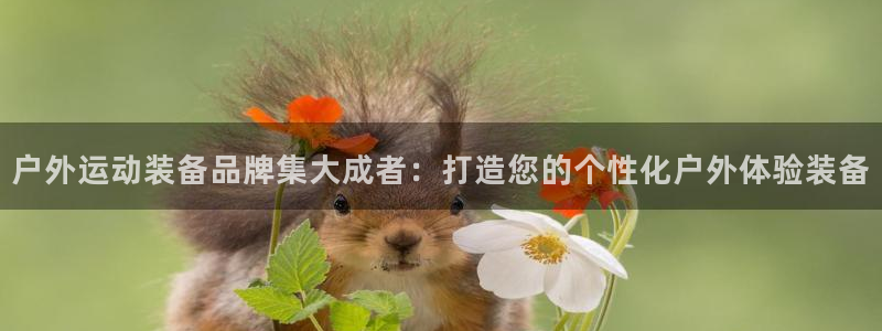 意昂4娱乐首页网站大全:户外运动装备品牌集大成者:打造您的个