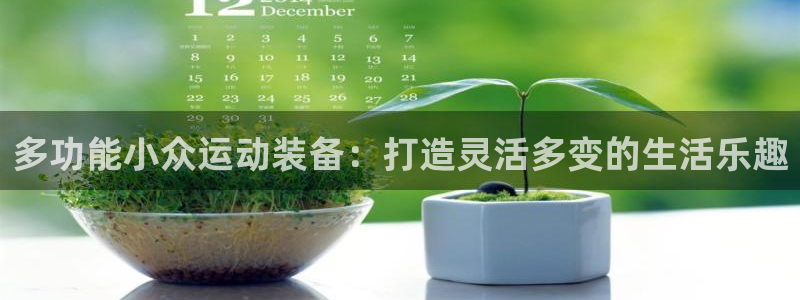 意昂体育4招商电话号码是多少号：多功能小众运动装备：