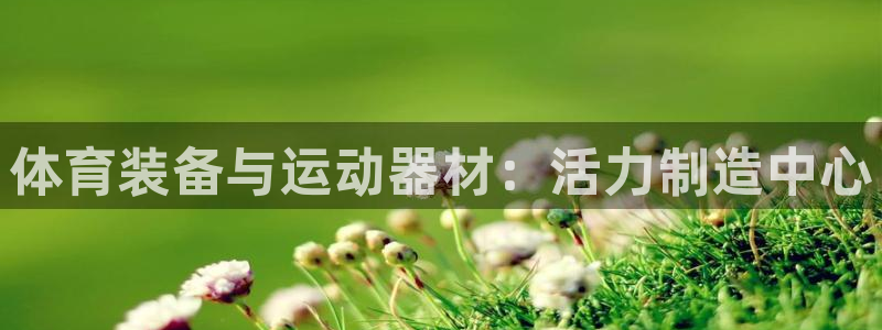 意昂4集团E.ON：体育装备与运动器材：活力制造中心