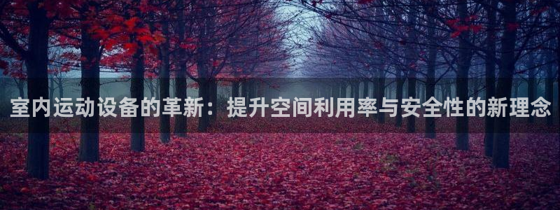 意昂4娱乐代理怎么样：室内运动设备的革新：提升空间利