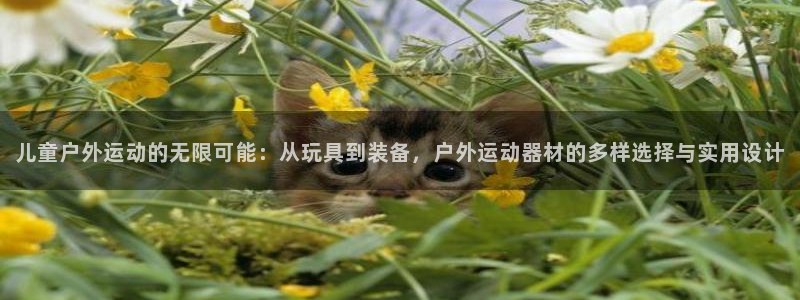 德国意昂4集团：儿童户外运动的无限可能：从玩具到装备