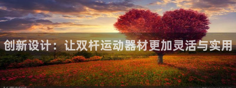 意昂体育4平台APP：创新设计：让双杆运动器材更加灵