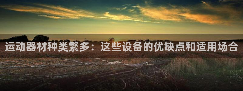 意昂体育4软件：运动器材种类繁多：这些设备的优缺点和