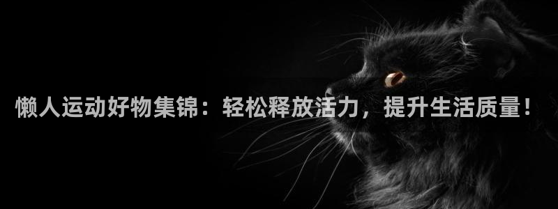 意昂4开户:懒人运动好物集锦:轻松释放活力,提升生活质量!