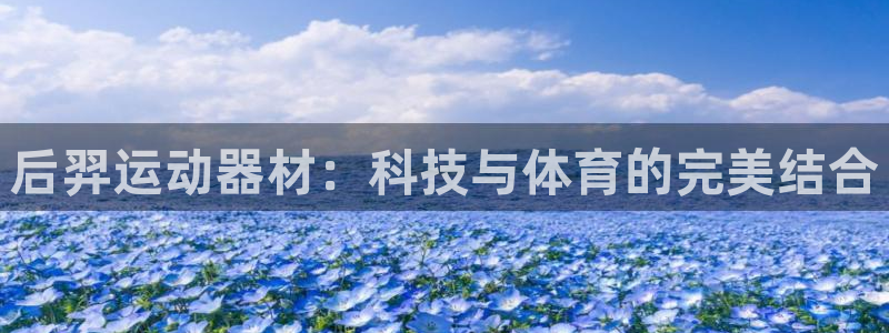 意昂体育4平台注册流程视频:后羿运动器材:科技与体育的完美结
