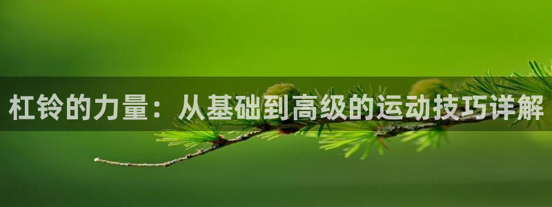 意昂体育4招商电话是多少：杠铃的力量：从基础到高级的运动技巧