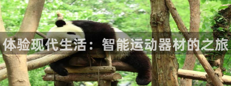 意昂体育4是干嘛的公司:体验现代生活:智能运动器材的之旅