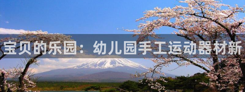 意昂4集团官网首页网址：宝贝的乐园：幼儿园手工运动器