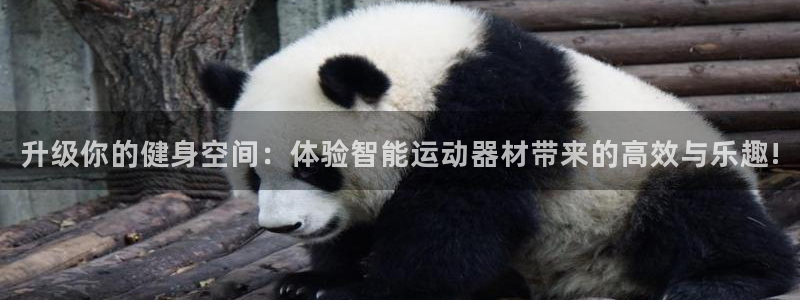 意昂体育4官方客服电话：升级你的健身空间：体验智能运