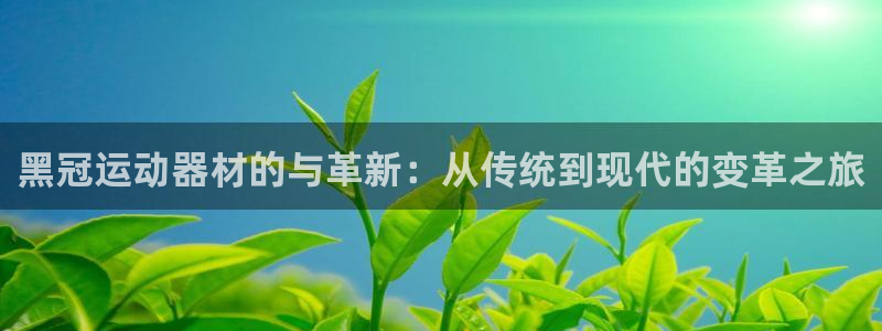 意昂体育4招商电话地址查询：黑冠运动器材的与革新：从