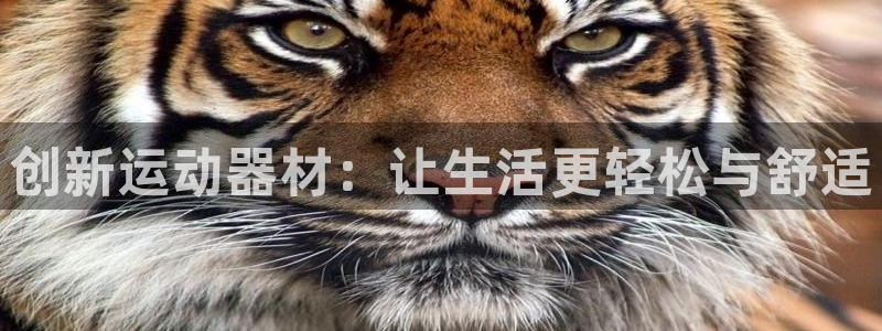 意昂体育4招商电话：创新运动器材：让生活更轻松与舒适