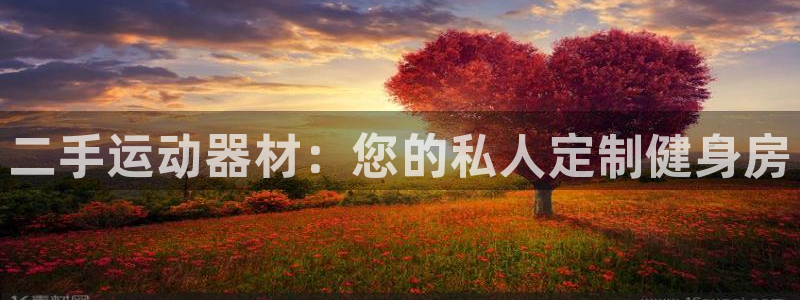 意昂4集团简介：二手运动器材：您的私人定制健身房