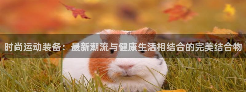 德国意昂4集团：时尚运动装备：最新潮流与健康生活相结