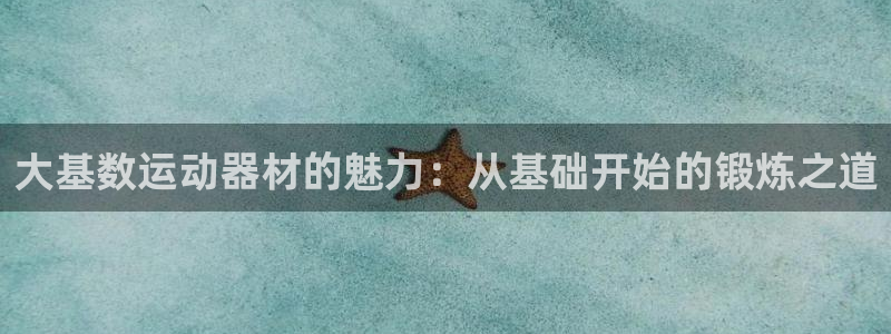 意昂体育4招商电话是多少号码:大基数运动器材的魅力:从基础开