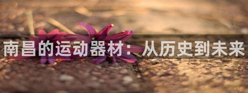 意昂体育4平台APP：南昌的运动器材：从历史到未来