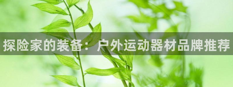 意昂4娱乐40996:探险家的装备:户外运动器材品牌推荐