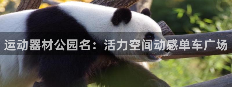 意昂体育4：运动器材公园名：活力空间动感单车广场